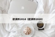 欧洲杯2014（欧洲杯2020）